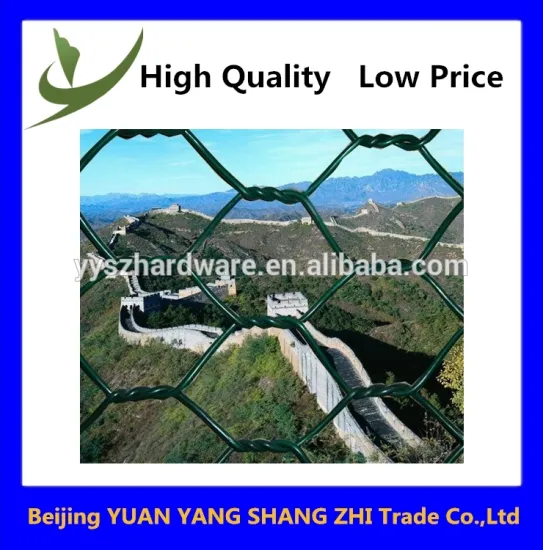 Galvanized hexagonal netting/chicken mesh/chicken wire netting