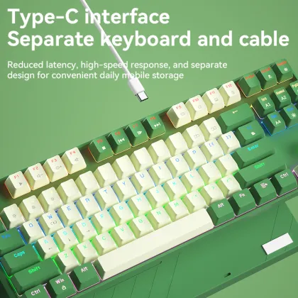 BOW Hot Sales Wired Swappable Mechanical Gaming Keyboard with Red Switch