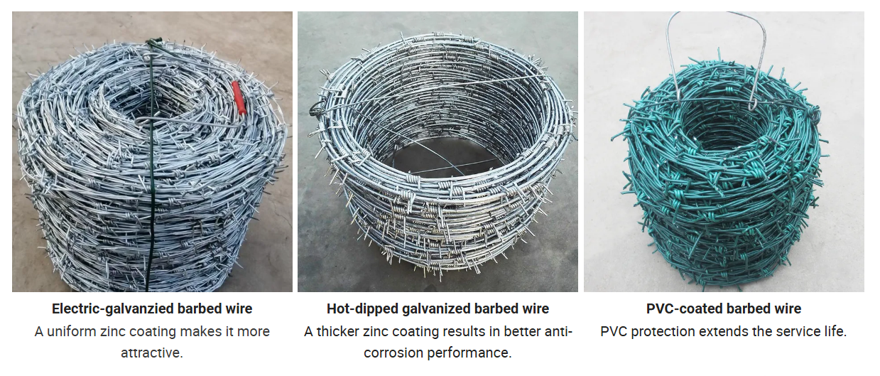 barbed wire mesh