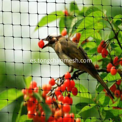 Garden Anti Bird Net