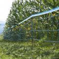 Clôture en plastique stabilisée UV de jardin