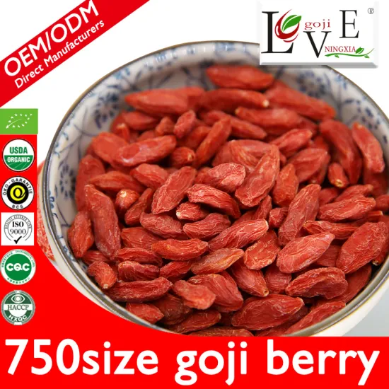 Free Sample 750granule/50g Goji Berry With Best Price