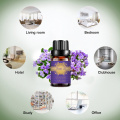 Suministro de fábrica 100%Pure Violet Essential Oil para la piel