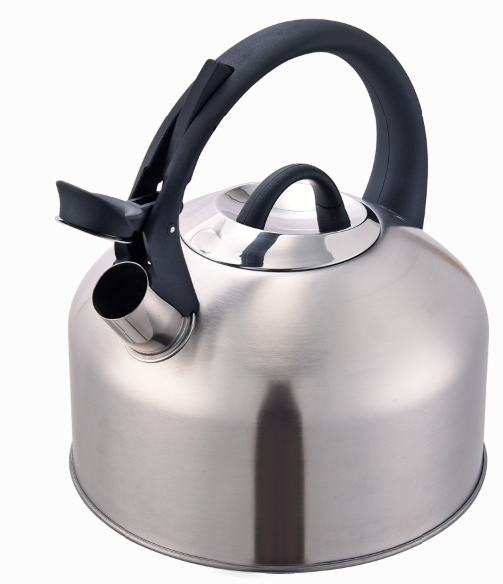 Surgical Stainless Steel Teapot