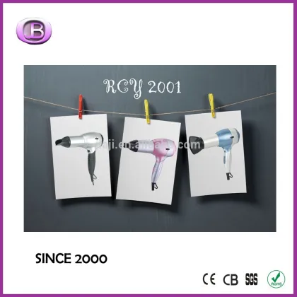 USA and Euro what hair dryer should i buy