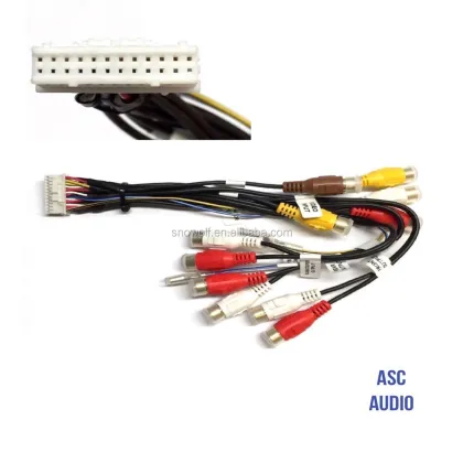 24 Pin Aftermarket DVD Car Stereo RCA CDP1143 AVIC-D3 AVIC-F900BT AVIC-F90BT Wiring Harness