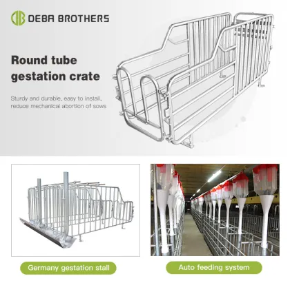 Pig Stall and Cage Solutions for Pig Farms