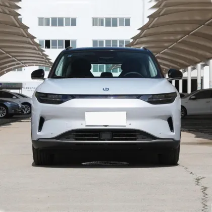 High Speed SUV 700km Sunroof White Color S01 Leap C01 T03 C11 New Energy Vehicles Leap