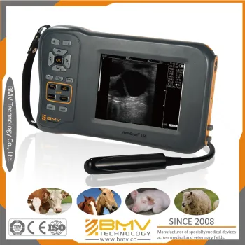 Pigs Pork Sheep Goat Animals Universal B Mode Ultrasound Scanner