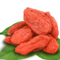 Qinghai-Tibet Kökenli %100 Organik Kırmızı Goji Berry