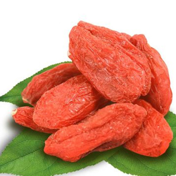 Qinghai-Tibet Kökenli %100 Organik Kırmızı Goji Berry