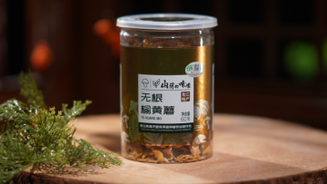 Elm Dried Yellow Mushroom