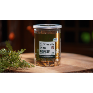 Cogumelo Amarelo Seco de Olmo