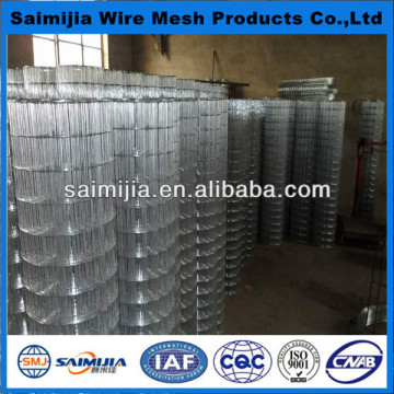 Factory ISO High Quality 6x6 concrete reinforcing Galvanized Welded Wire Mesh