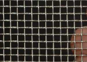 Electro Galvanized Square Wire Mesh