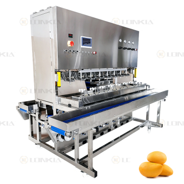Automatic Fruit Processing Machine: Apple Kiwifruit Lemon Peeler and Mango Slicer