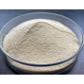 Oyster Extract of Oyster Peptide as Food Additives
