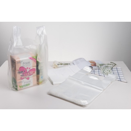 Single Use Plastic Gracoery Bags