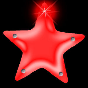 Flashing Star Magnetic Badge