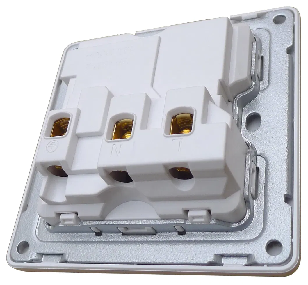 Enchufe conmutado unipolar de 1 unidad y 13 A