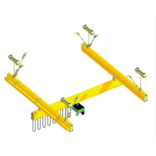 60kg to 2000kg Special Crane for Sale