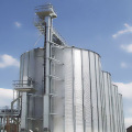 bucket elevator in rice mill plant