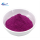 Natural bulk red beet root powder