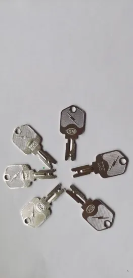 186304 6 Piece Hyster Forklift Key Set