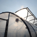 Quality assurance plastic garden poly tunnel greenhouse