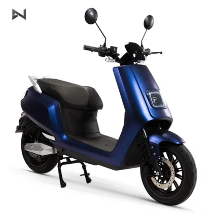Electric Bike and Motorcycle Motors for Adults: Scooters Included