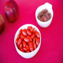 Superfood Nutrisi Beberapa goji berry Vitamin-Mineral