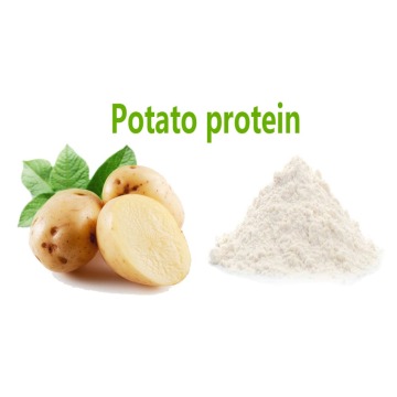Potato Protein Powder 80% For Health Food