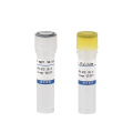 DNA RNA release reagent for PCR test