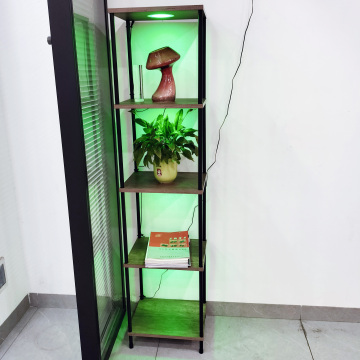 Remote RGBW LED light bulbs shelf floor lamp