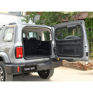 Hot sells Tank 300 Dark Grey 4WD SUV