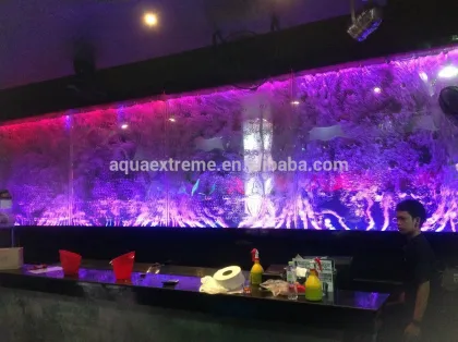 aqua extreme water bubble wall Engineering project product show