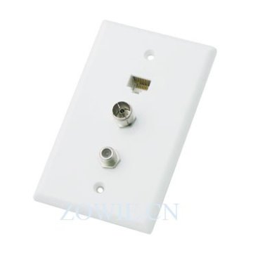 Single Cat5e coupler and PAL + F81 combo wall plate