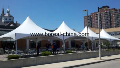 Pinnacle Canopy (STP-06)