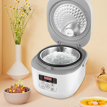 Mini Voyage Electric Pressure Cuideur: Multifonction Cuideur de riz à faible teneur en sucre