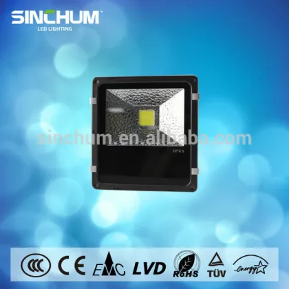rgb pccooler 10w led flood light