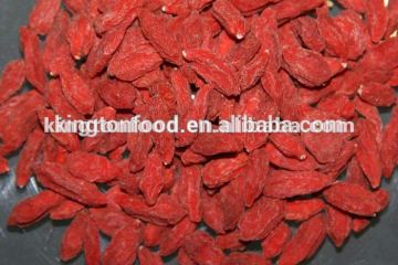 hot sale green health dried goji berry