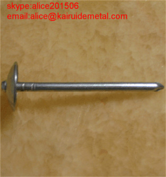 1-6 Inch Electro or Hot dip Galvanized Umbrella Roofing nails
