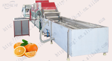 full automatic fruit sorting machine
