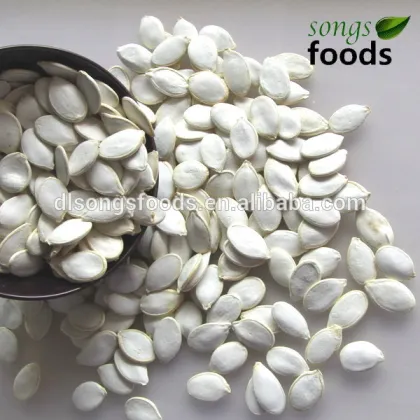 Pumpkin Seeds & Kernels from a Top 100 Companies in Agriculture