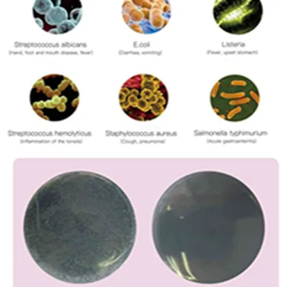 Sell Well New Type Professional Toothbrush Uv Sterilizer Box For Food