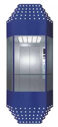 Silver and Golden Capsule Elevator for Passenger Lift