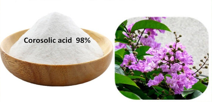 corosolic acid 98%