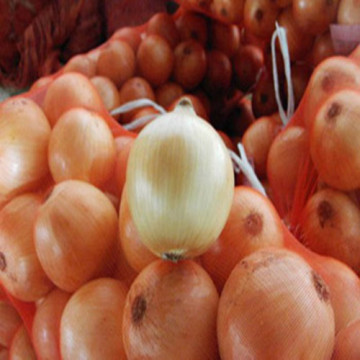 Chinese Fresh Onion with New Crop