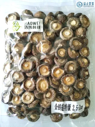 DRIED MUSHROOM