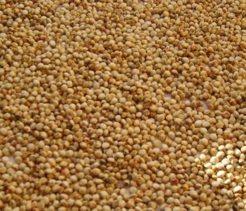 Animal Feed, Bird Feed, Birdseed, Bird Food